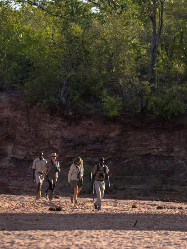 Activities at Rhino safari camp